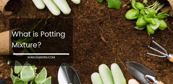 What is Potting Mixture?