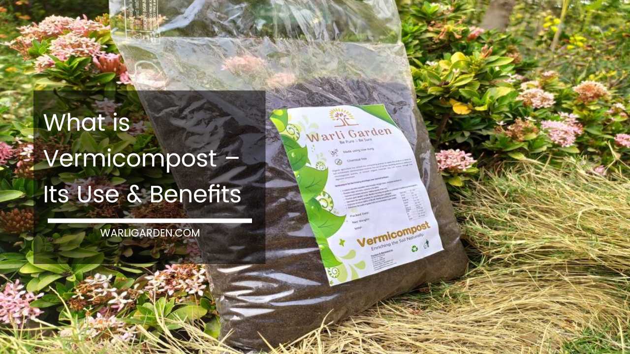 What is Vermicompost