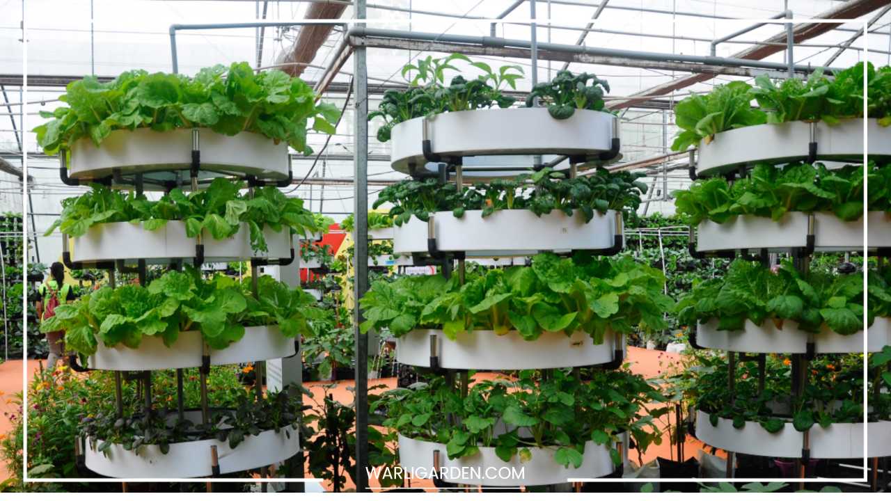 What is Vertical Farming